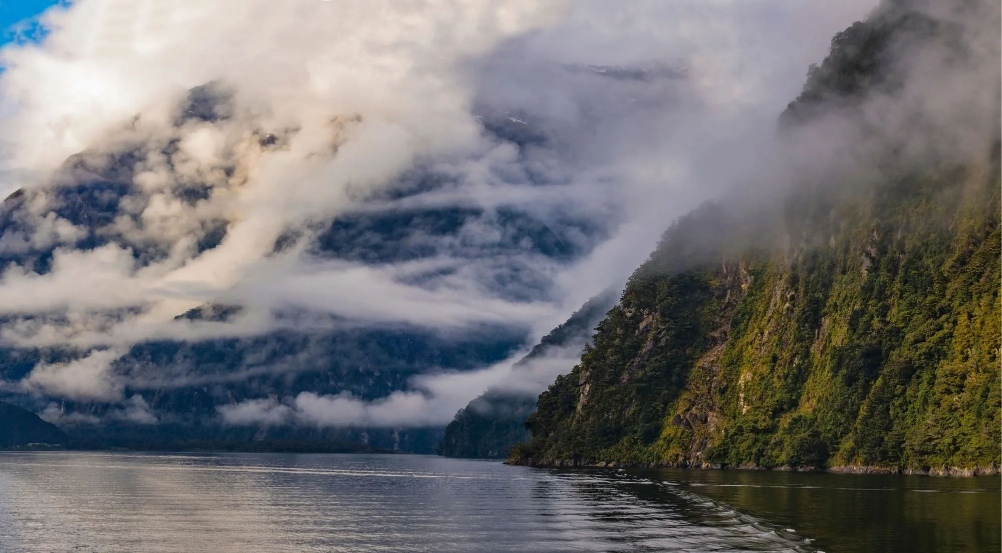 Cloud spilling over the forested walls of a Fiordland sound in low afternoon light