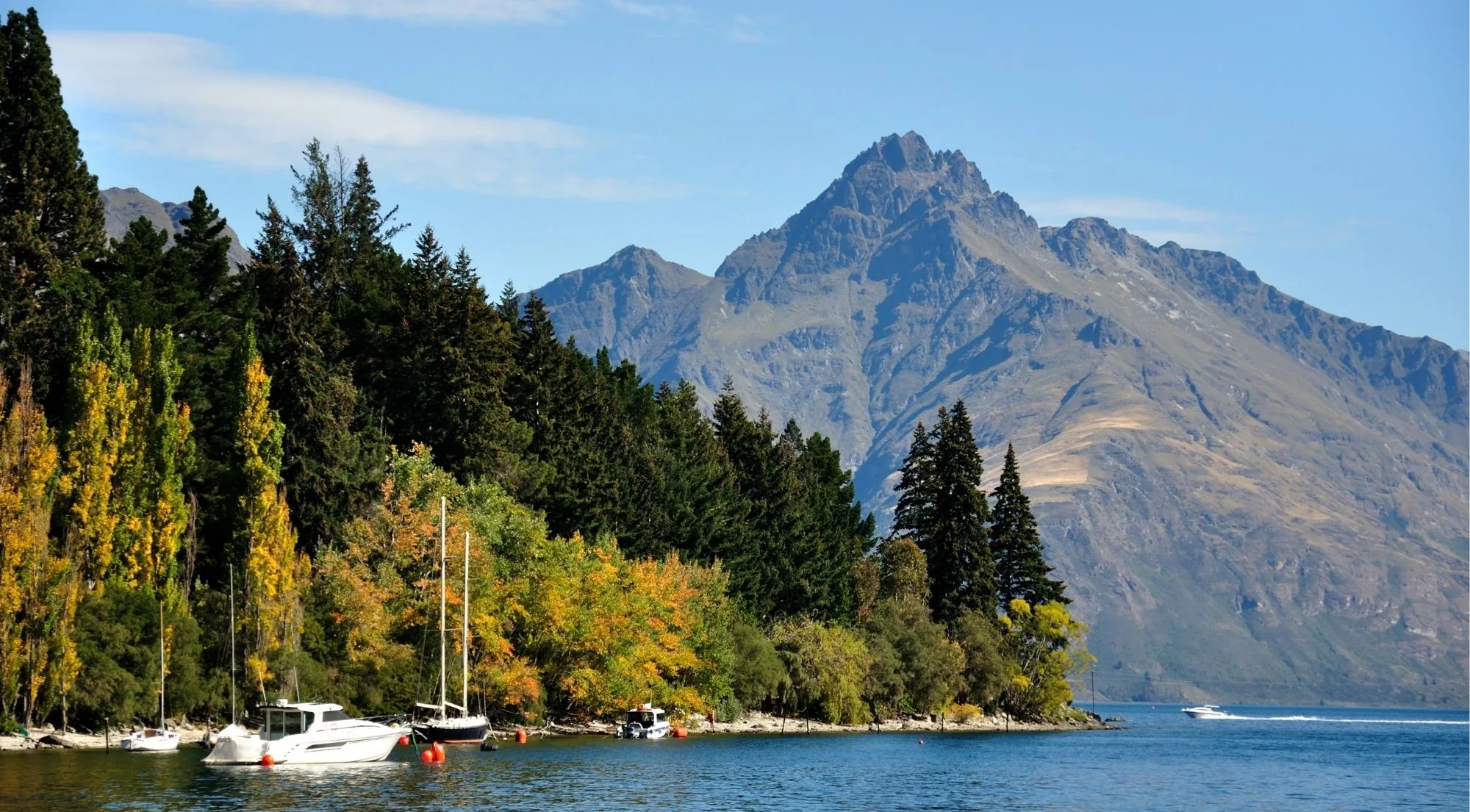 Lake Wakatipu shoreline in autumn with Cecil Peak rising straight out of the water