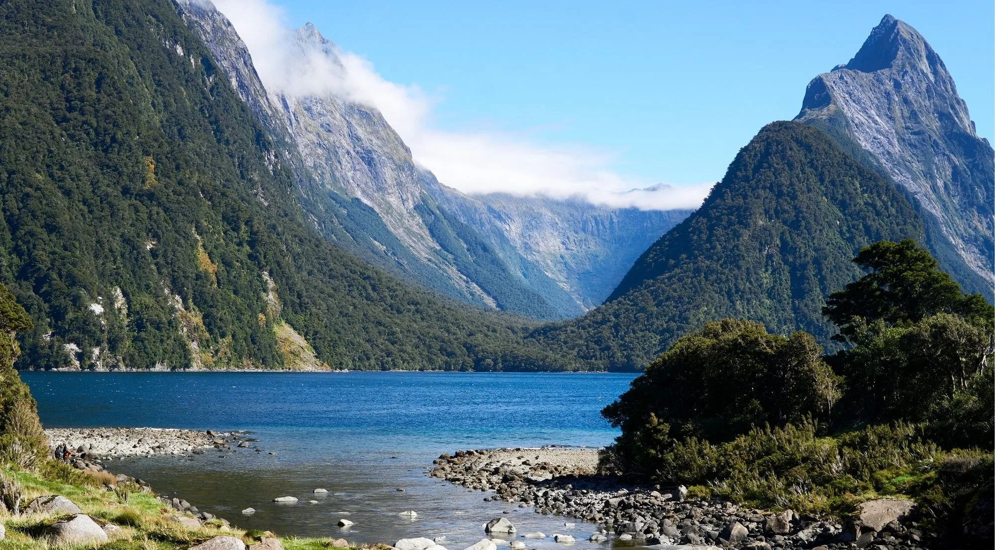 Mitre Peak rising above the still water at the head of Milford Sound